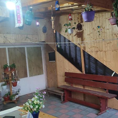 Casa Victor Daire Eforie Nord Dış mekan fotoğraf