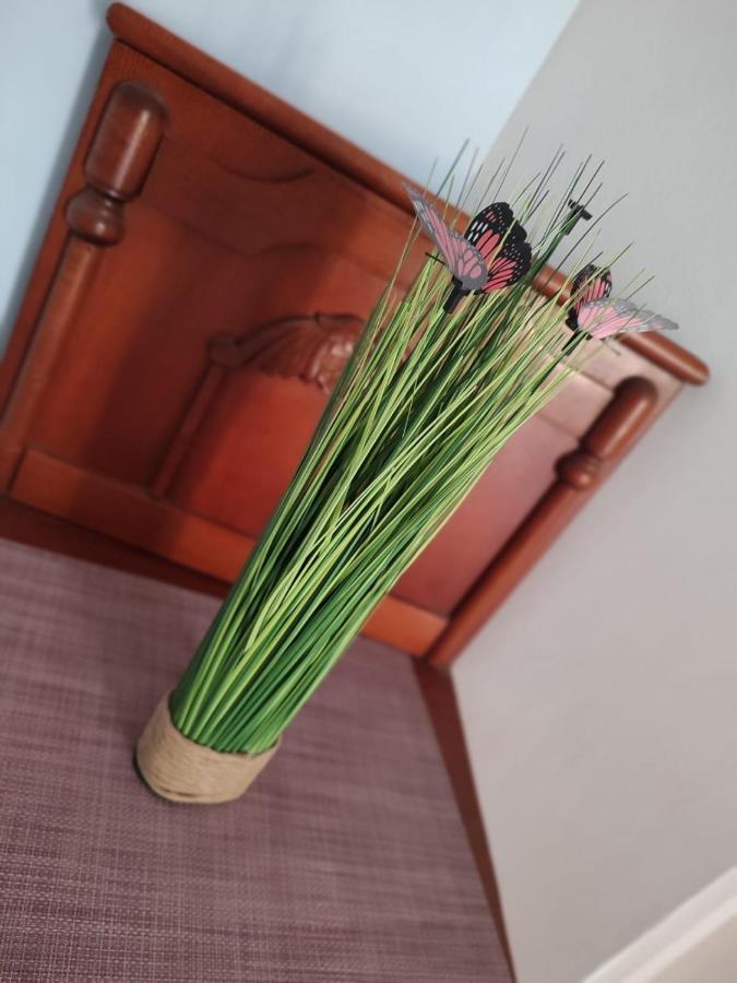 Casa Victor Daire Eforie Nord Dış mekan fotoğraf